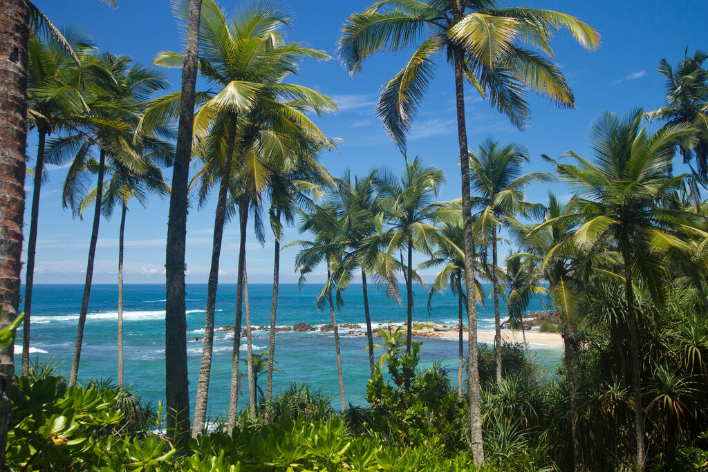 Mirissa Beach